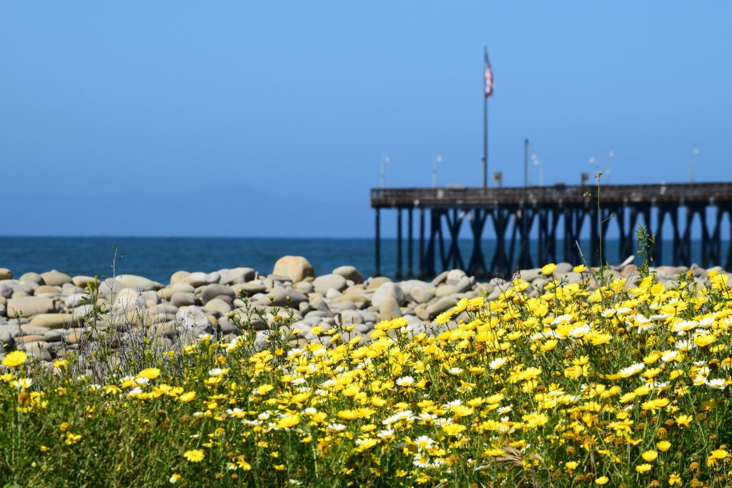 Ventura Beach Pier, California