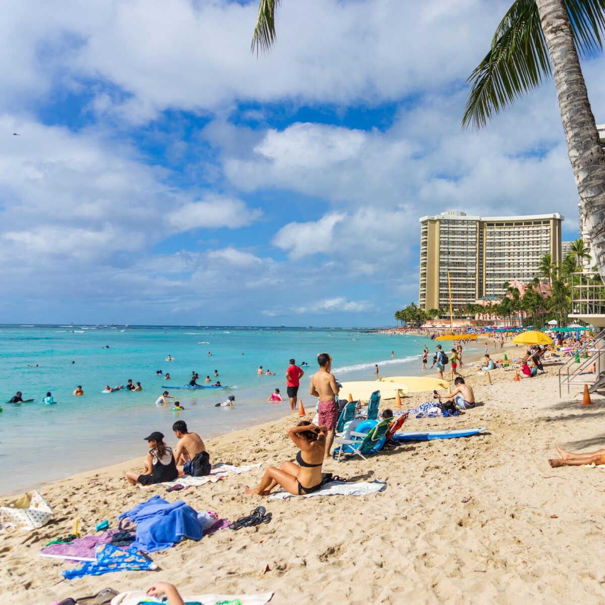  Nuotare nell'Oceano Pacifico alle Hawaii, ecco la spiaggia di Waikiki
