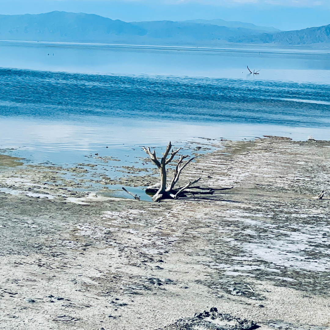 Lake Salton Sea